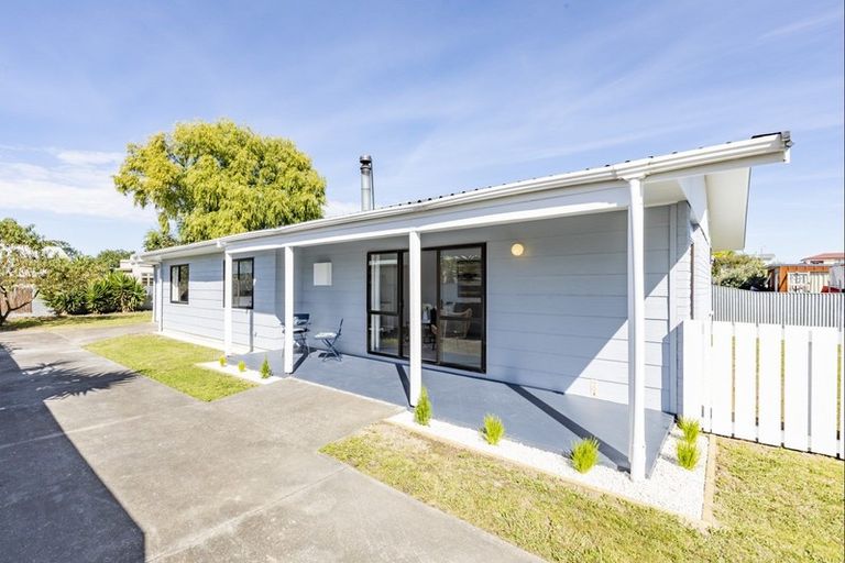 Photo of property in 19 Porritt Place, Waipukurau, 4200