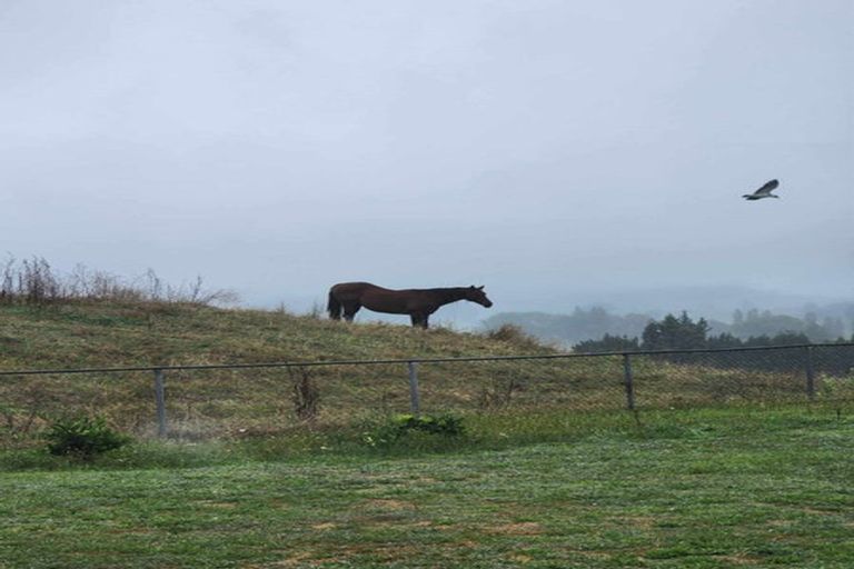 Photo of property in 584b State Highway 3, Waitomo, Te Kuiti, 3977