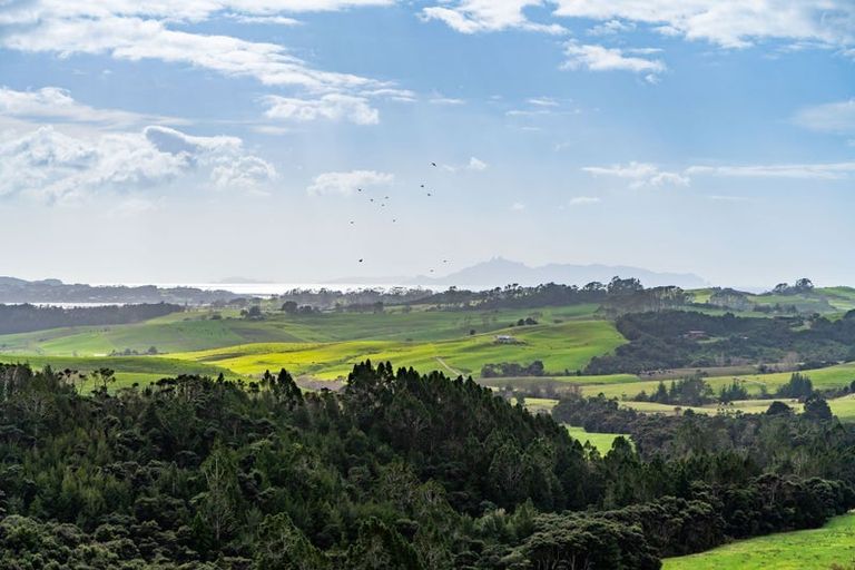 Photo of property in 174a Cames Road, Mangawhai, 0975