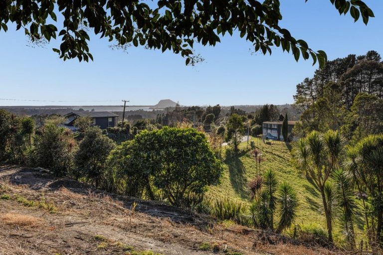 Photo of property in 213e Minden Road, Minden, Tauranga, 3176