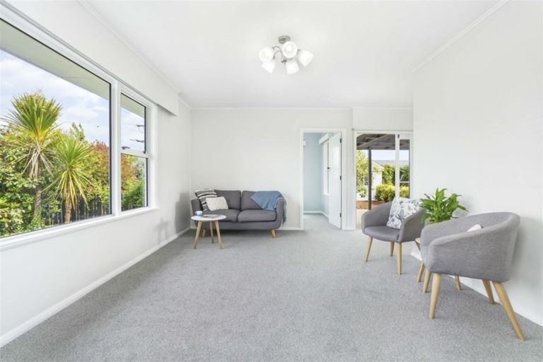 Photo of property in 201 Clarkin Road, Fairfield, Hamilton, 3214