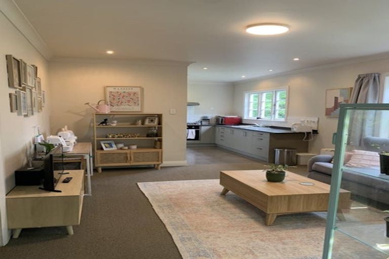 Photo of property in 6 Semeloff Terrace, Aro Valley, Wellington, 6021