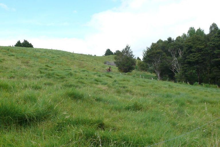 Photo of property in 1563 Duncan Road, Kaitaia, 0482