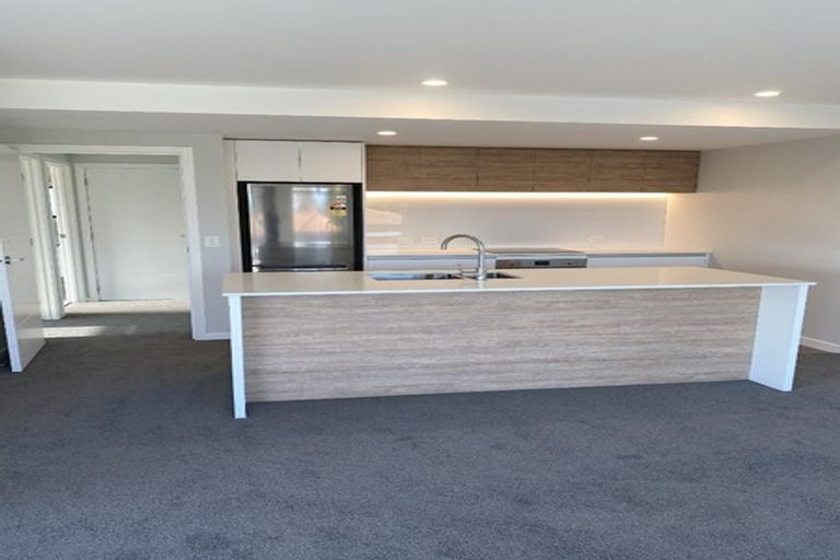 Photo of property in 2b Astelia Place, Richmond, 7020