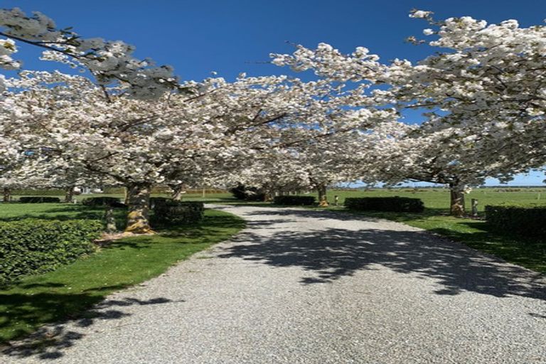 Photo of property in 72 Winslow Willowby Road, Winslow, Ashburton, 7775