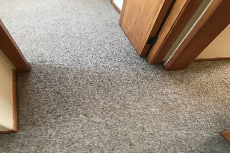 Photo of property in 40 Powells Road, Fairview Downs, Hamilton, 3214