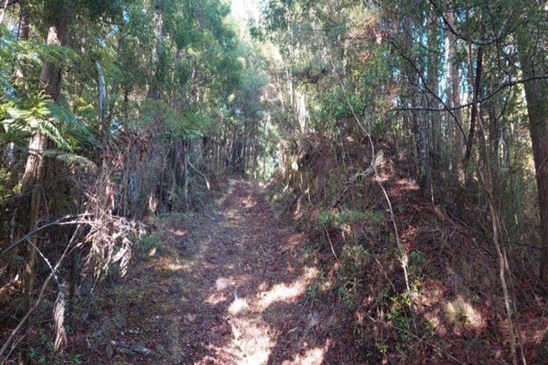 Photo of property in 91 Sharyn Nelson Drive, Haruru, 0204