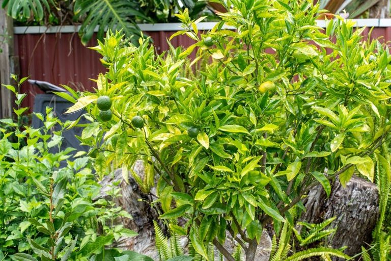 Photo of property in 31a Cockburn Street, Onerahi, Whangarei, 0110