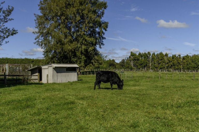 Photo of property in 1128a Omanawa Road, Omanawa, 3171