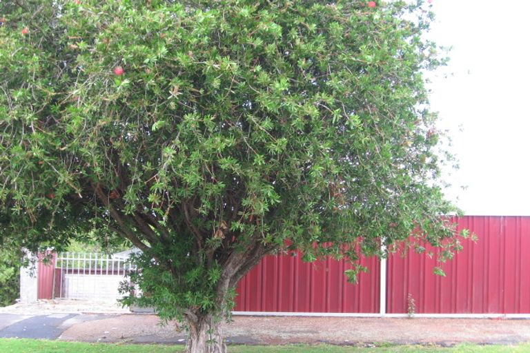 Photo of property in 24 Ted William Street, New Windsor, Auckland, 0600