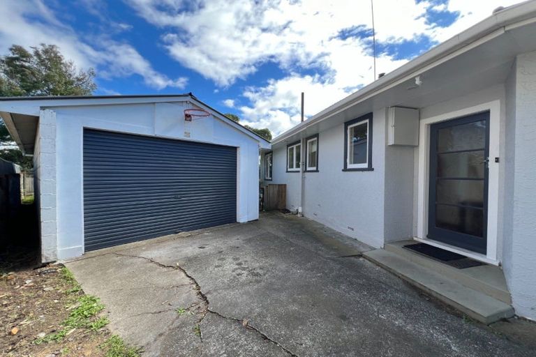 Photo of property in 149 Limbrick Street, Terrace End, Palmerston North, 4410