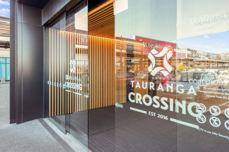 Photo of property in 51 Whakaturou Crescent, Pyes Pa, Tauranga, 3112