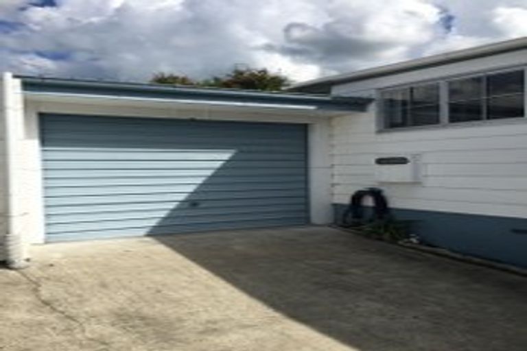 Photo of property in 62b Alison Street, Hamilton Lake, Hamilton, 3204