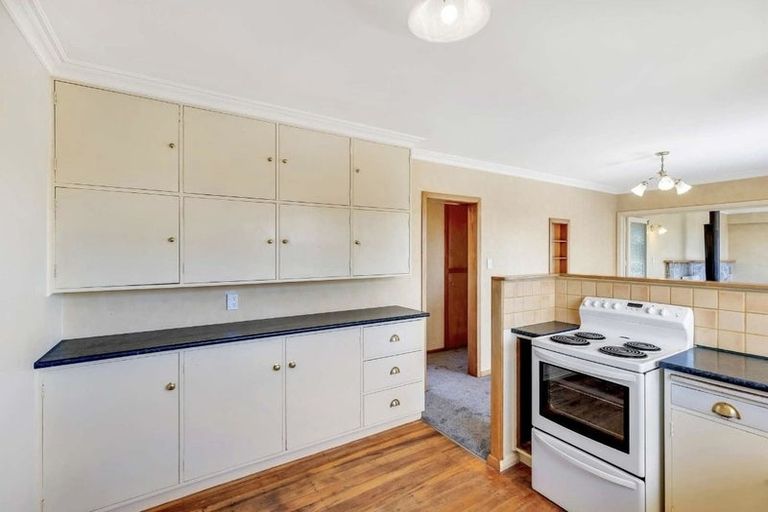 Photo of property in 32 Parsons Avenue, Levin, 5510