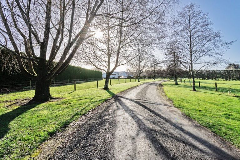 Photo of property in 54 Drysdale Road, Myross Bush, Invercargill, 9872