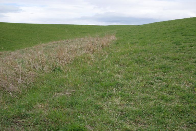 Photo of property in 360 Thorburn Road, Waikouaiti, 9472