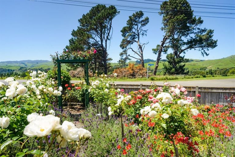 Photo of property in 207 Salisbury Street, Ashhurst, 4810