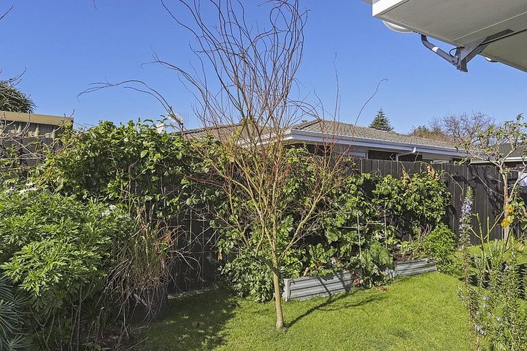 Photo of property in 3a Strathmore Way, Matua, Tauranga, 3110
