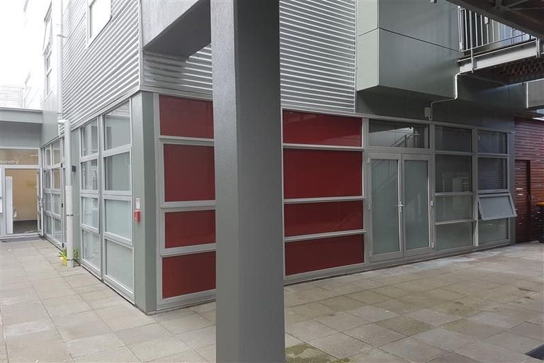 Photo of property in Hanson House, 27ua Hanson Street, Mount Cook, Wellington, 6021