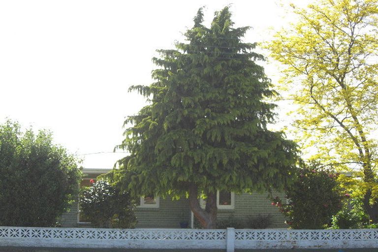 Photo of property in 64 Colemans Road, Springlands, Blenheim, 7201