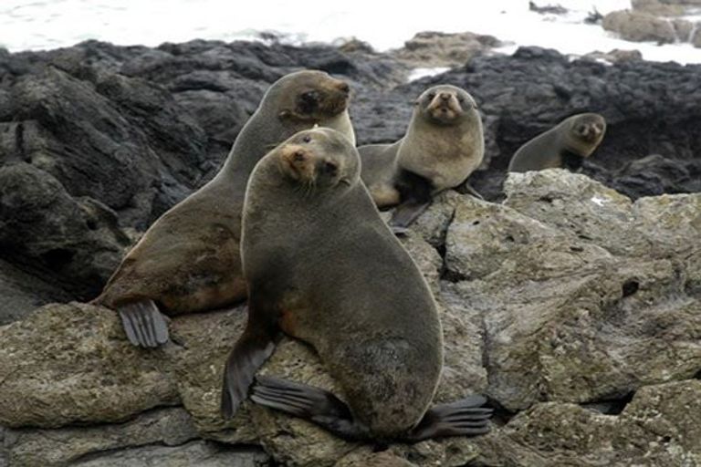 Photo of property in 150 Jubilee Road, Wainui, French Farm, 7582