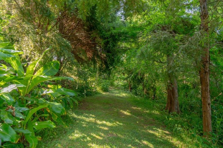 Photo of property in 16 Kawhero Drive, Kuaotunu, Whitianga, 3592