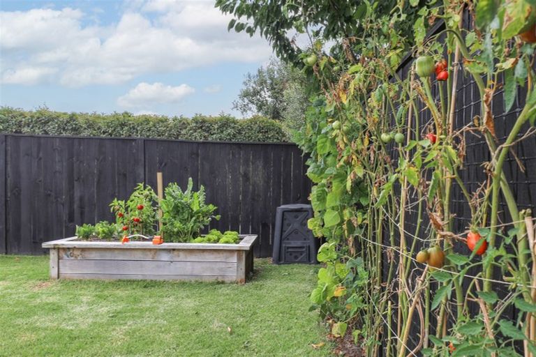 Photo of property in 81 Mahi Road, Te Kauwhata, 3710