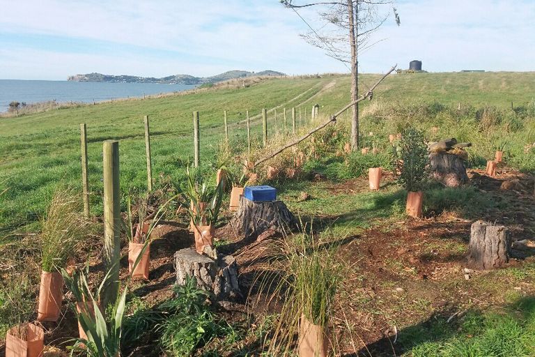 Photo of property in 10 Stafford Street, Hampden, 9410