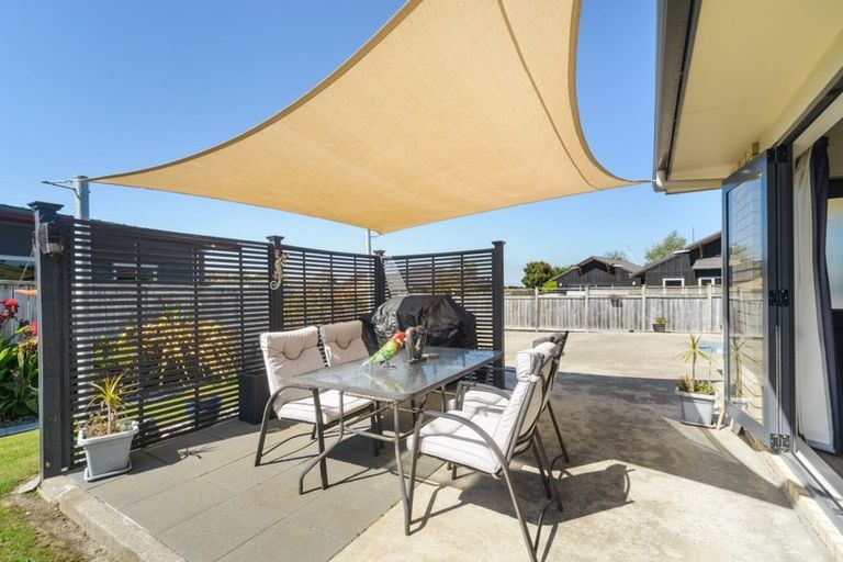 Photo of property in 19 Ursula Drive, Feilding, 4702