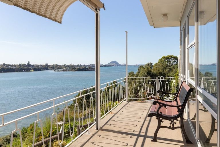 Photo of property in 63 Ririnui Place, Maungatapu, Tauranga, 3112