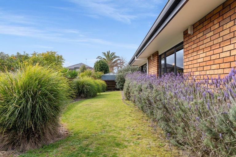 Photo of property in 16b Ngamotu Place, Mount Maunganui, 3116