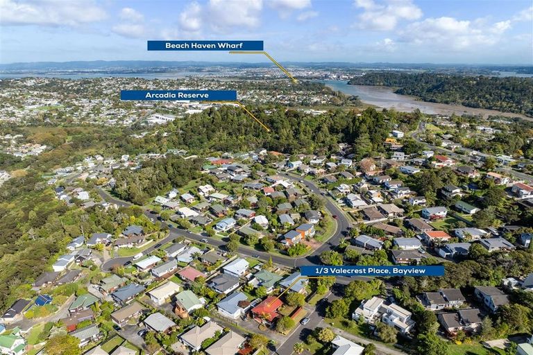 Photo of property in 1/3 Valecrest Place, Bayview, Auckland, 0629