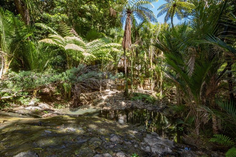 Photo of property in 40 Lone Kauri Road, Karekare, New Lynn, 0772