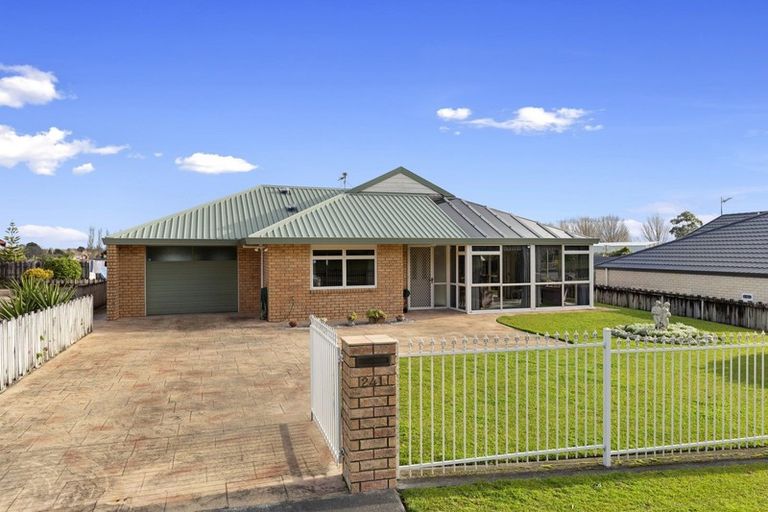 Photo of property in 241 Whitaker Street, Te Aroha, 3320