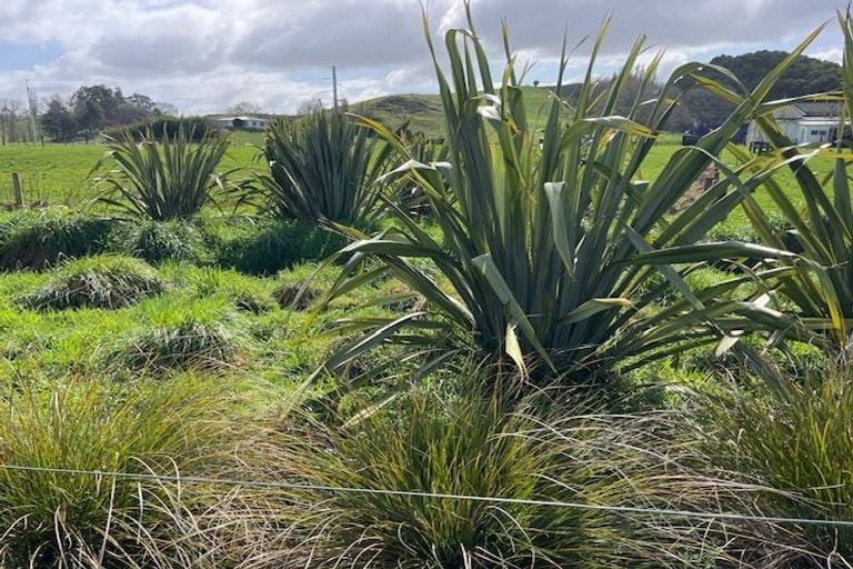 Photo of property in 81 Arapuni Road, Putaruru, 3481