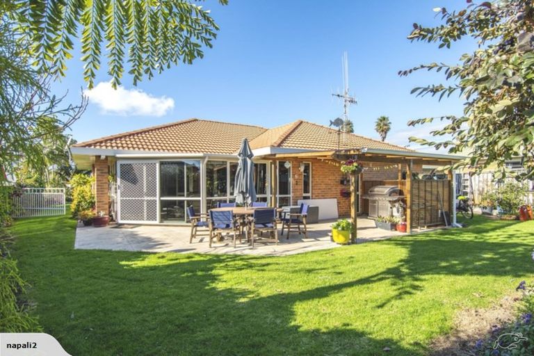Photo of property in 24 Plateau Heights, Mount Maunganui, 3116