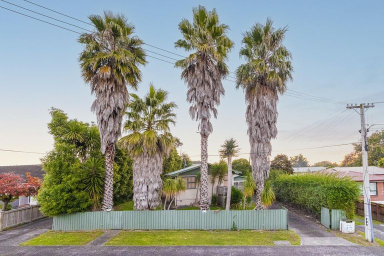 Photo of property in 17 Snell Avenue, Papakura, 2110