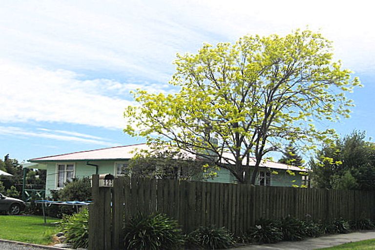 Photo of property in 123 Muller Road, Blenheim, 7201