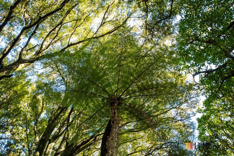 Photo of property in 166b Heard Road, Waihi, 3681