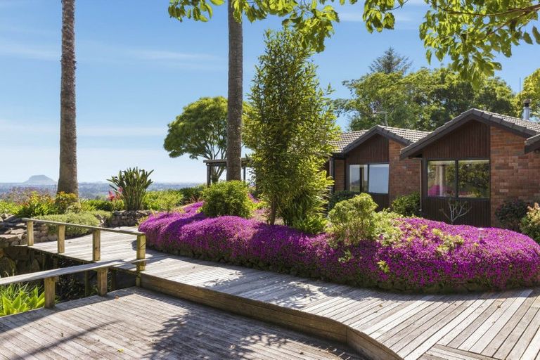 Photo of property in 179b Crawford Road, Minden, Tauranga, 3171