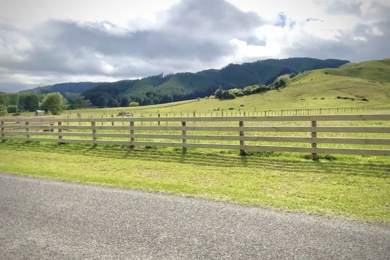 Photo of property in 161 Gladstone Road, Levin, 5571