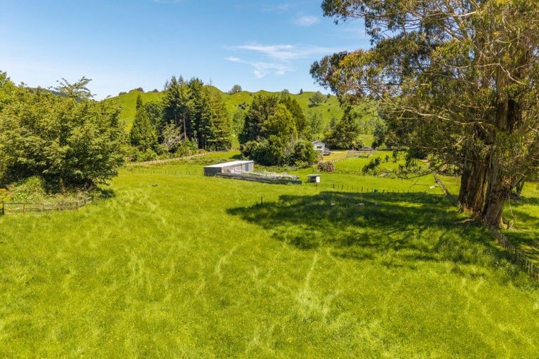 Photo of property in 143b Otapouri Road, Owhango, 3989