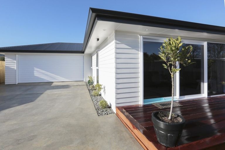 Photo of property in 912 Miro Street, Mahora, Hastings, 4120