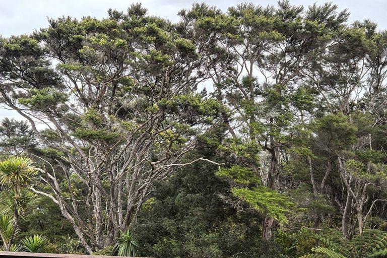 Photo of property in 162 Greenhithe Road, Greenhithe, Auckland, 0632