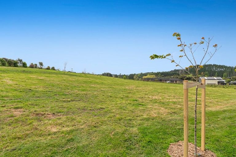 Photo of property in 346 Inland Road, Helensville, 0875