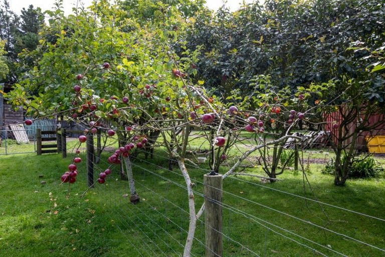 Photo of property in 657 Domett Road, Domett, Cheviot, 7382