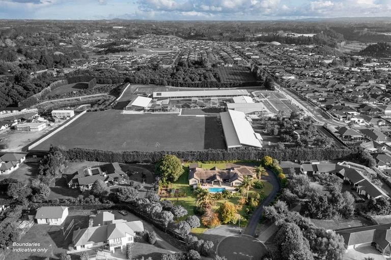 Photo of property in 118 Freeburn Road, Pyes Pa, Tauranga, 3112