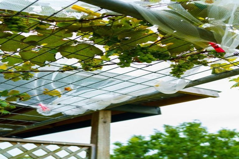 Photo of property in 2352 River Road, Horsham Downs, Hamilton, 3281