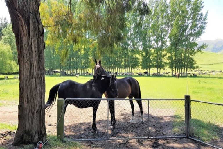 Photo of property in 114 Veritys Road, Maungati, Cave, 7984