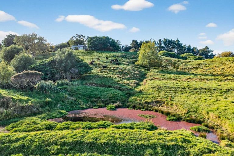 Photo of property in 311 Franklin Road, Paparoa, 0571